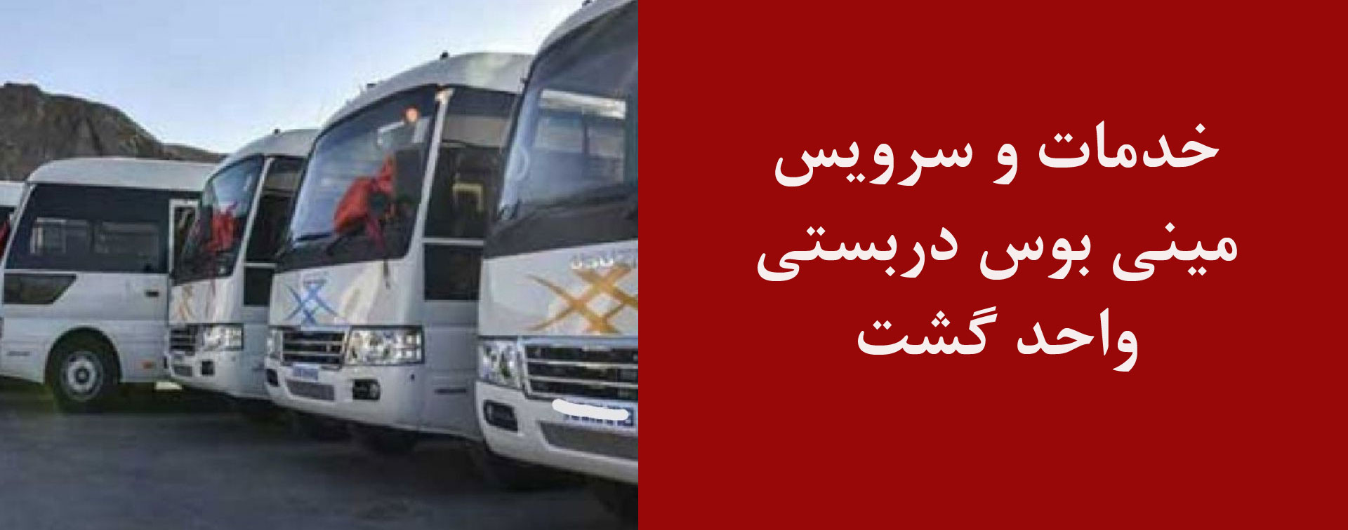 مینی بوس دربستی